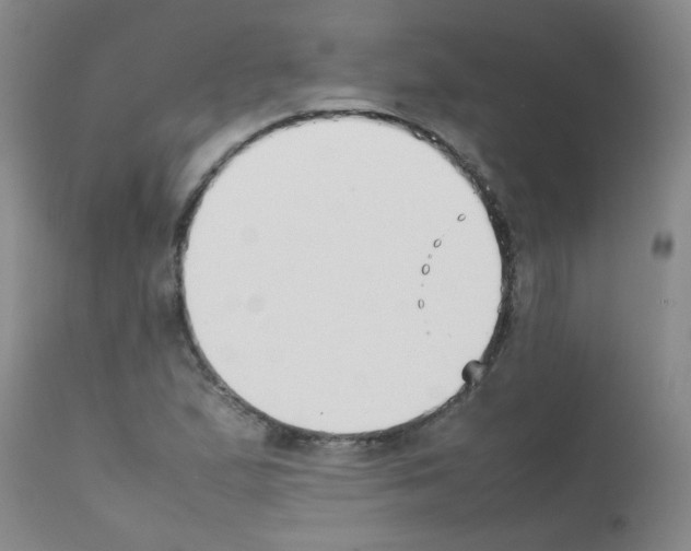 X0000111851167200909031720