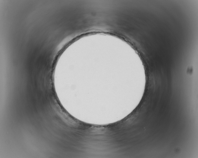 X0000111851168200909031720