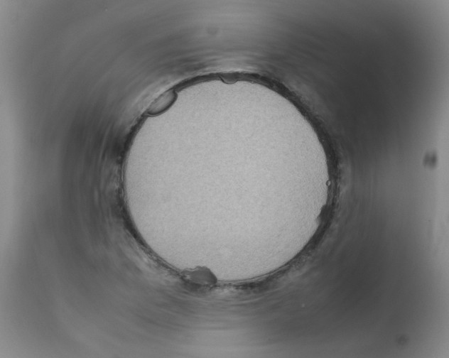 X0000111851169200909031720