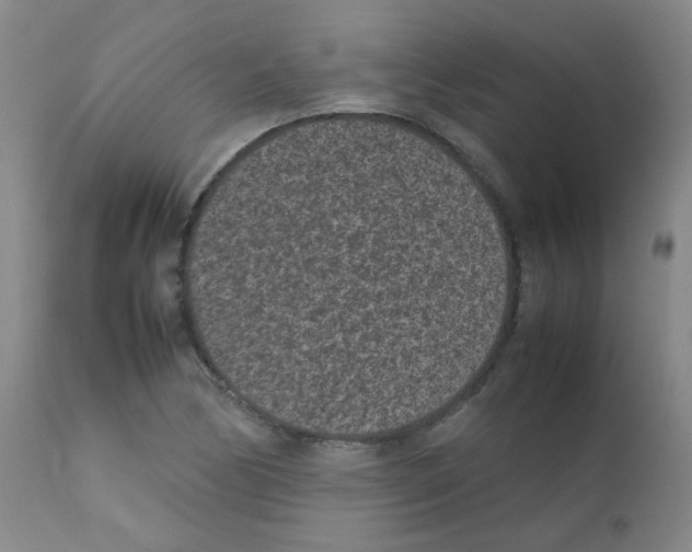 X0000111851170200909031720