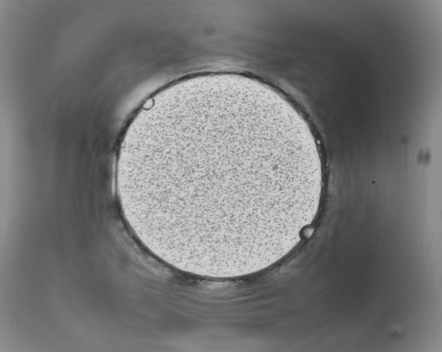 X0000111851171200909031720