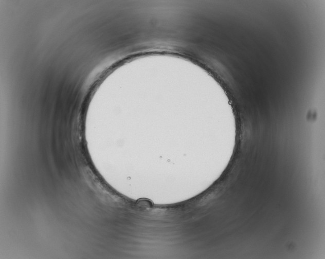 X0000111851172200909031720