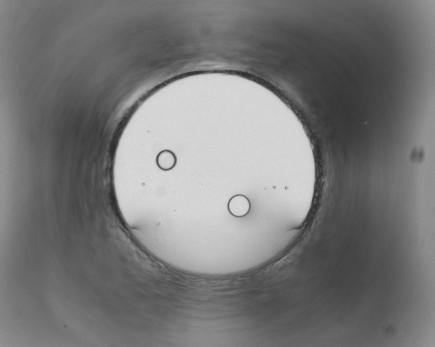X0000111851173200909031720