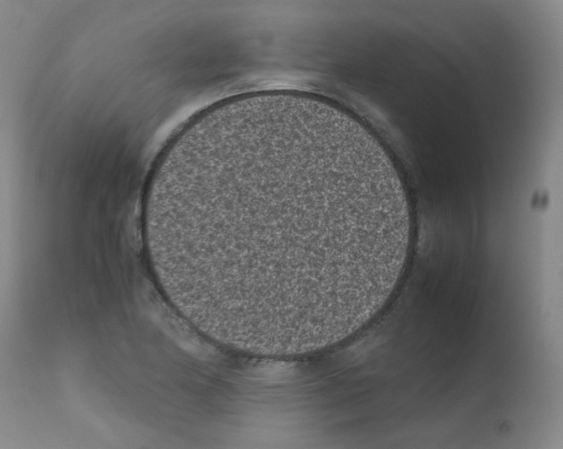 X0000111851174200909031720