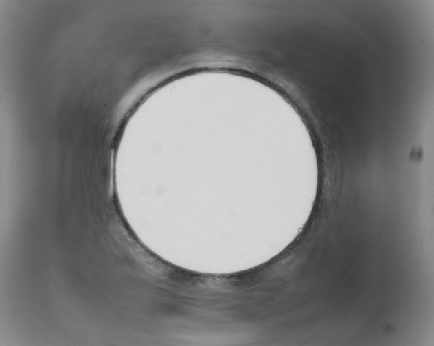 X0000111851175200909031720