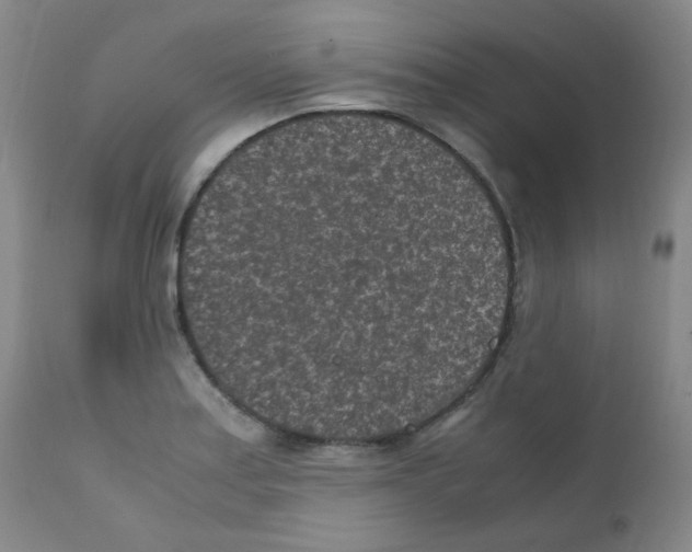 X0000111851179200909031720