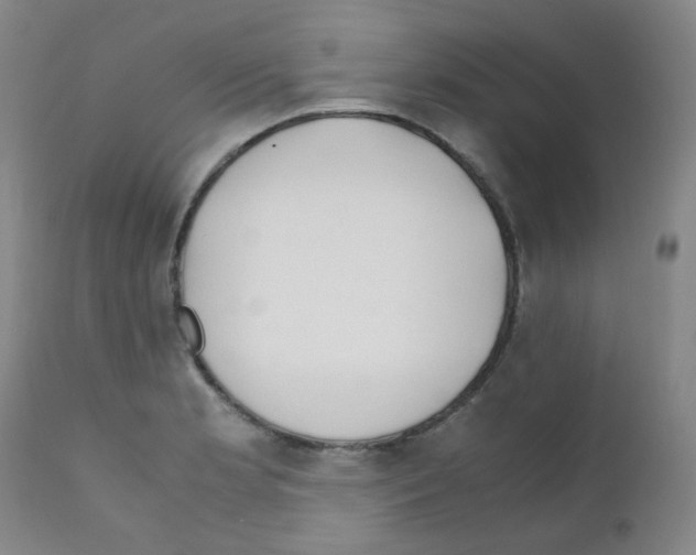 X0000111851181200909031720