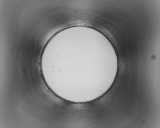 X0000111851182200909031720