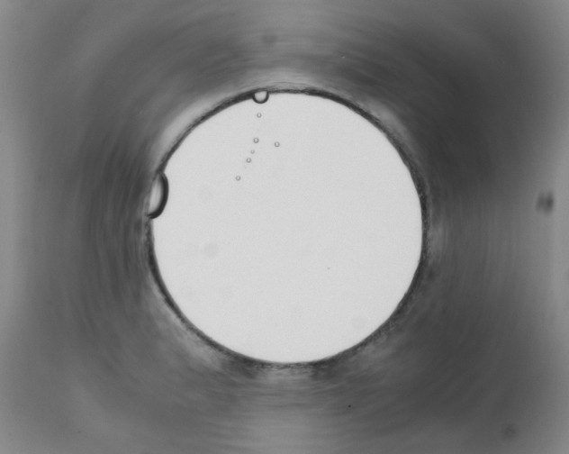 X0000111851183200909031720