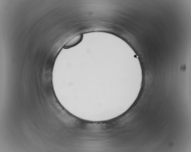 X0000111851185200909031720