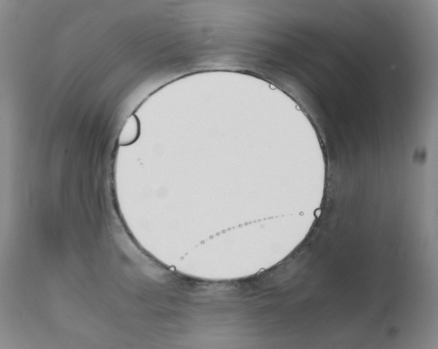 X0000111851187200909031720