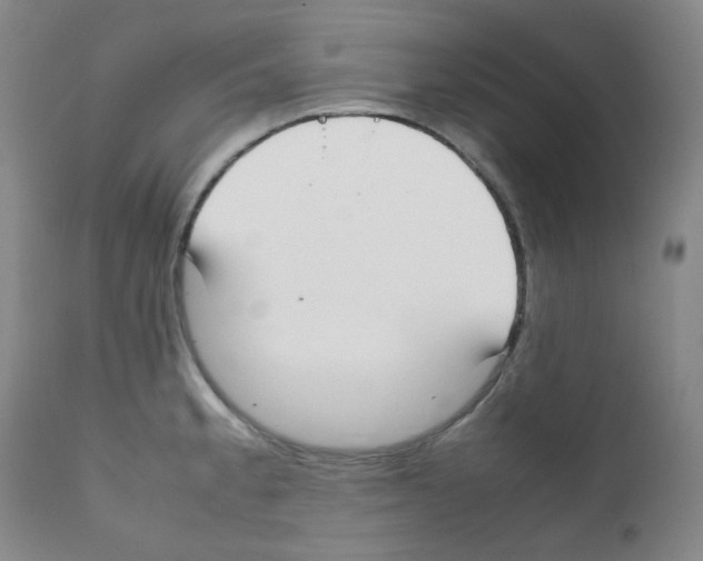 X0000111851189200909031720