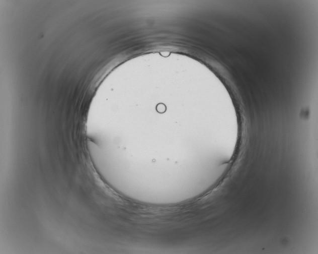 X0000111851193200909031720