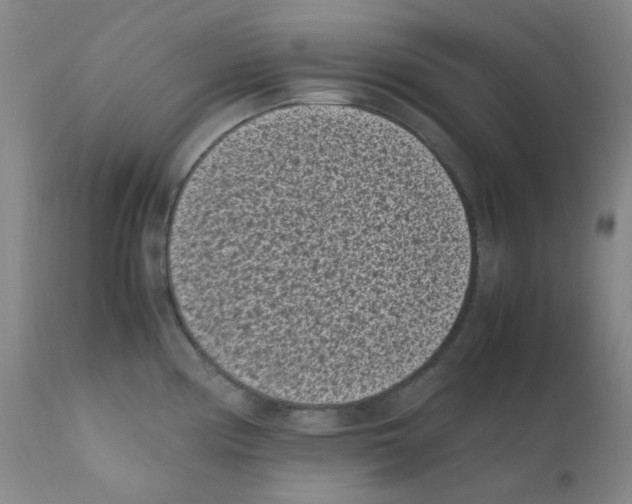 X0000111851194200909031720