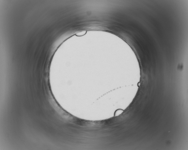 X0000111851195200909031720
