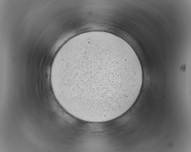 X0000111851198200909031719