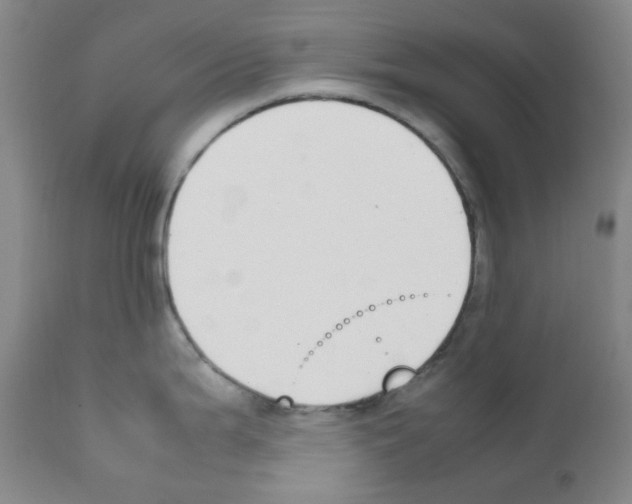 X0000111851199200909031719
