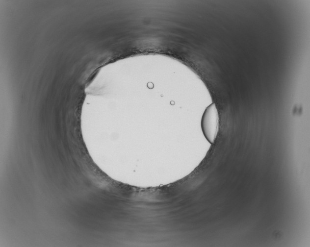 X0000111851201200909031719
