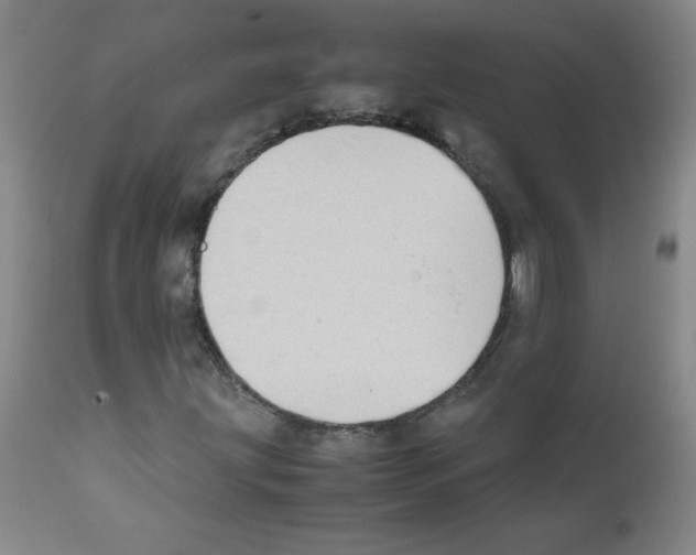 X0000111851203200909031719