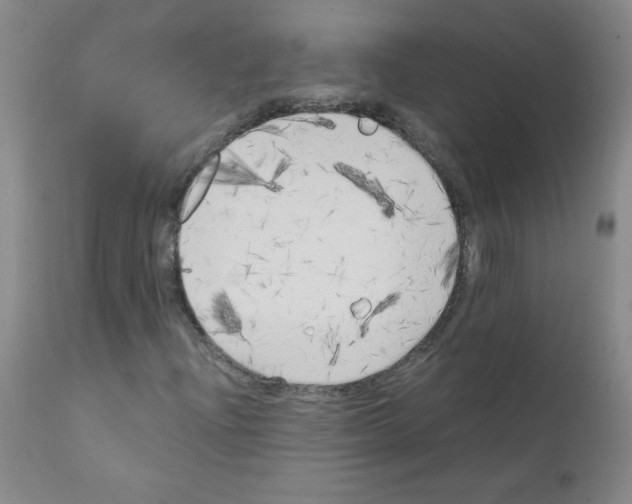 X0000111851204200909031719