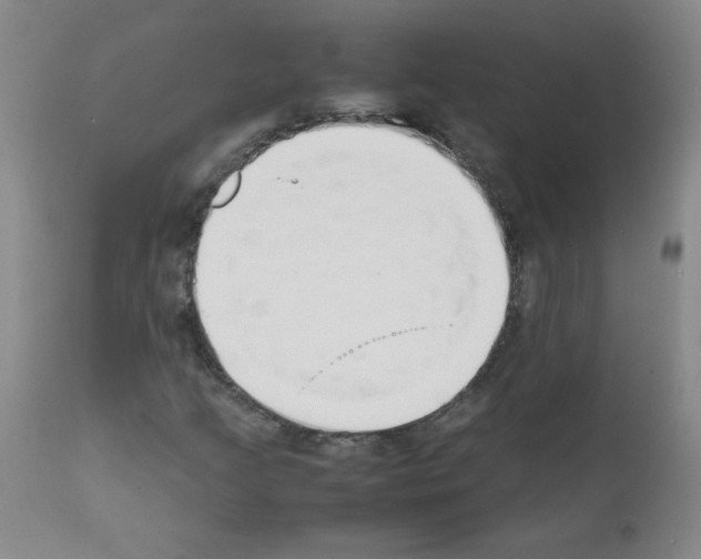 X0000111851205200909031719