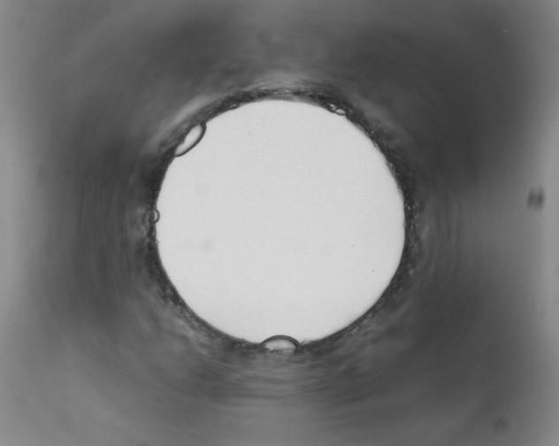 X0000111851206200909031719