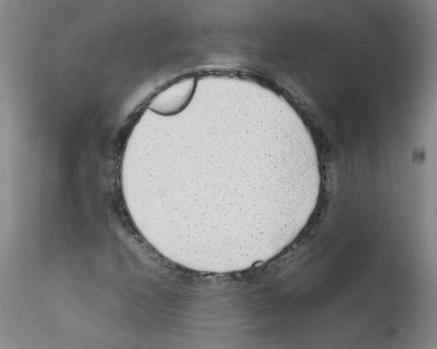 X0000111851208200909031719