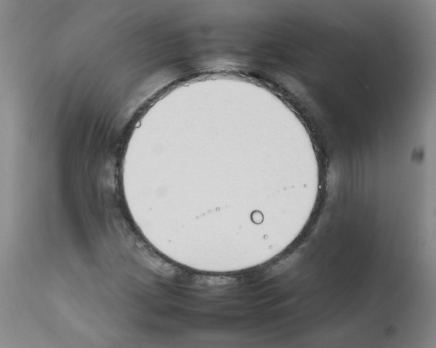 X0000111851209200909031719