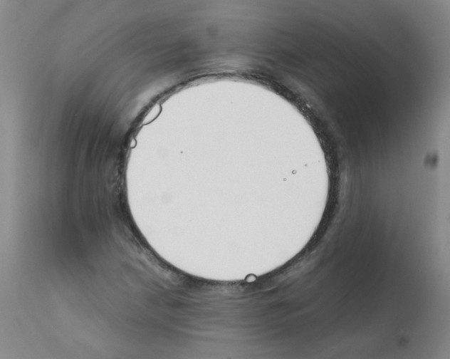 X0000111851210200909031719