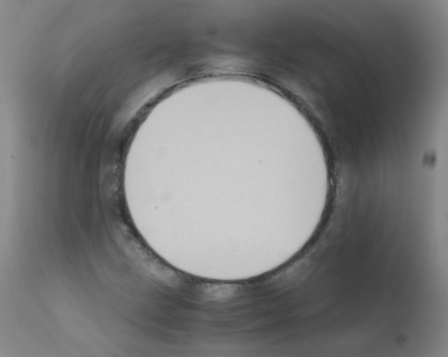 X0000111851211200909031719
