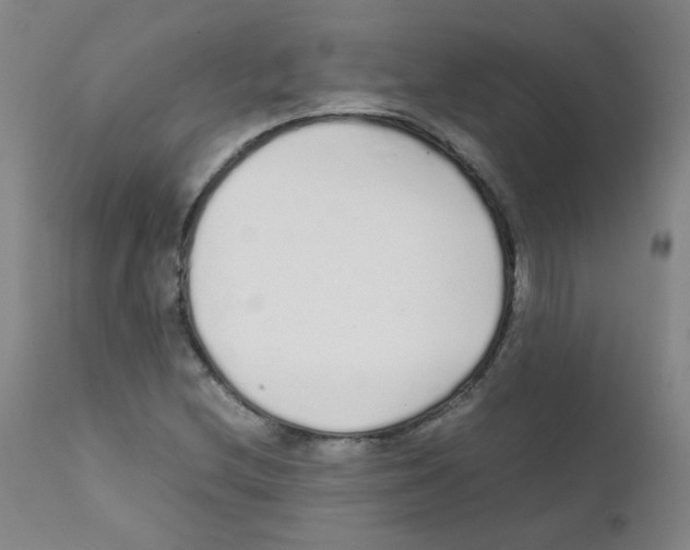 X0000111851212200909031719
