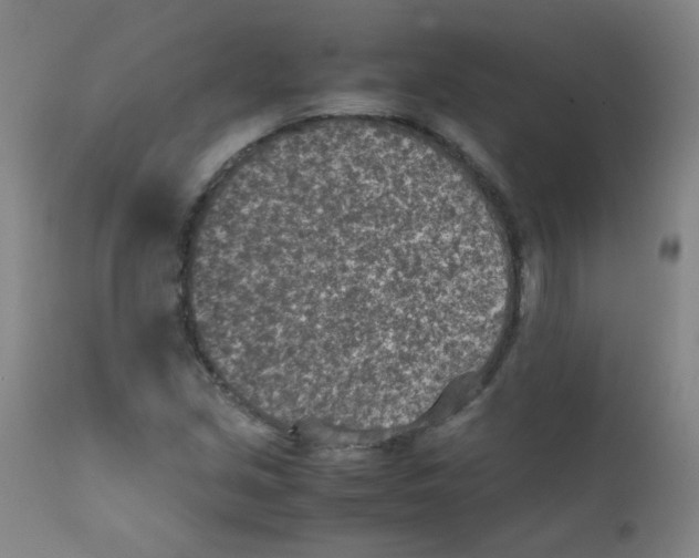 X0000111851213200909031719