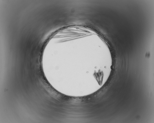 X0000111851214200909031719