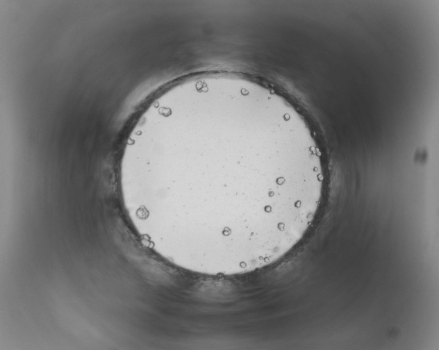 X0000111851215200909031719