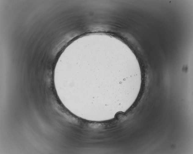 X0000111851217200909031719