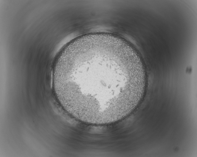 X0000111851219200909031719
