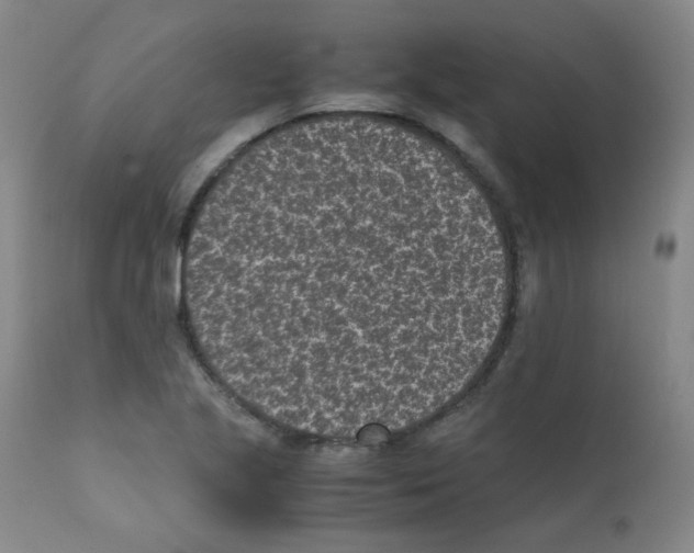 X0000111851221200909031719