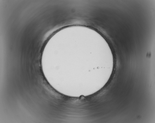 X0000111851222200909031719