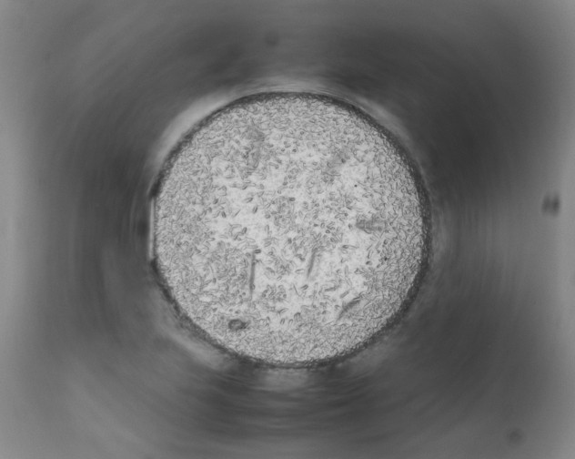 X0000111851223200909031719