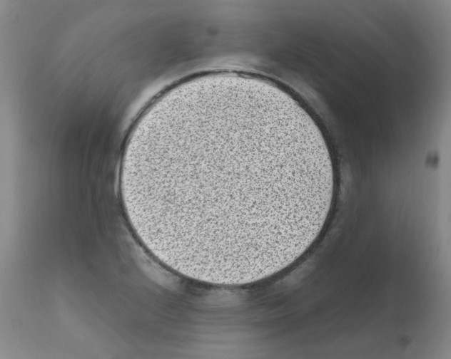 X0000111851224200909031719