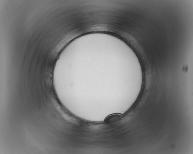 X0000111851225200909031719