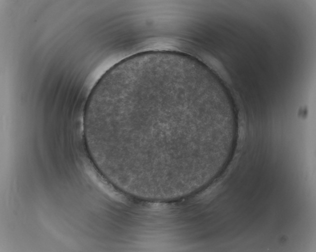 X0000111851226200909031719