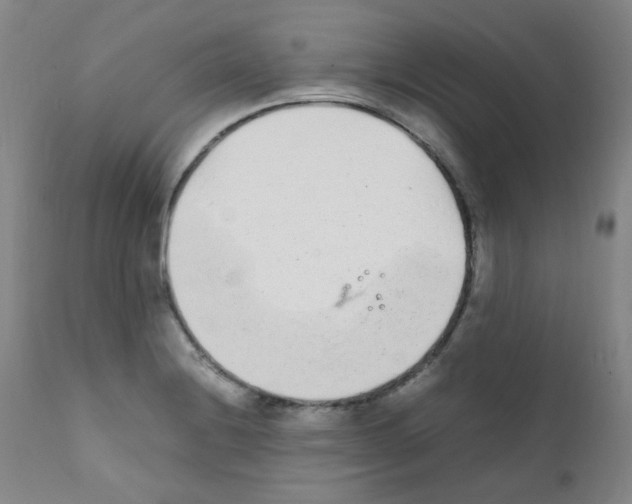 X0000111851228200909031719