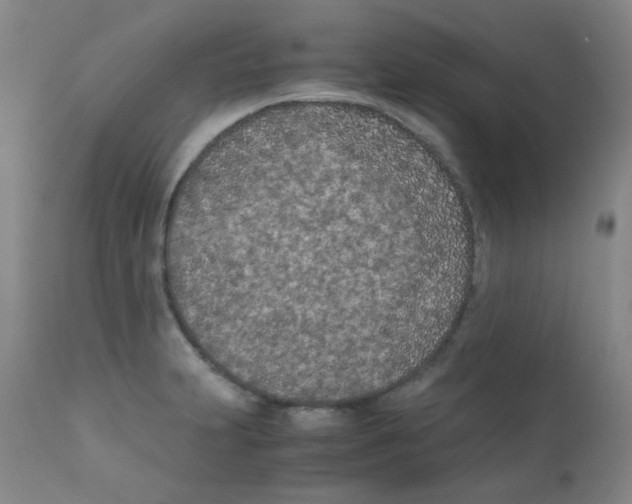 X0000111851231200909031719