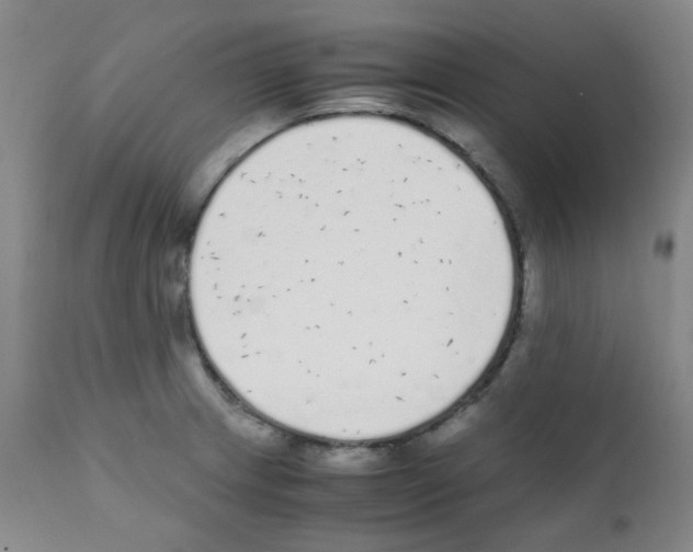 X0000111851233200909031719