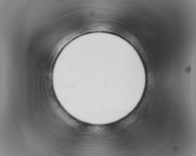 X0000111851234200909031719