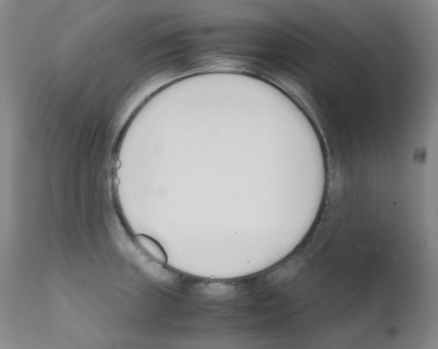 X0000111851235200909031719