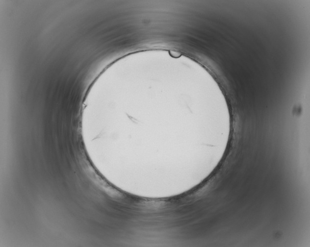 X0000111851236200909031719