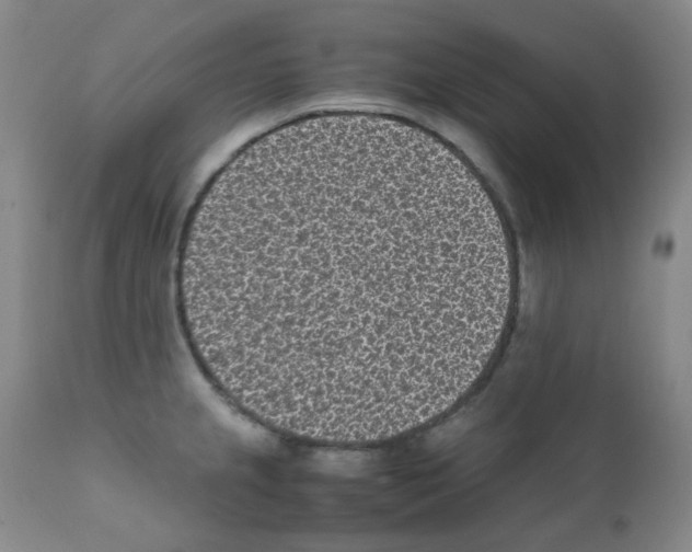 X0000111851237200909031719