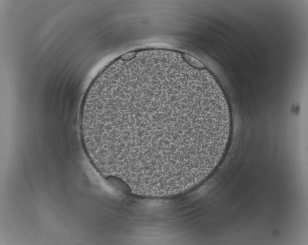X0000111851240200909031719